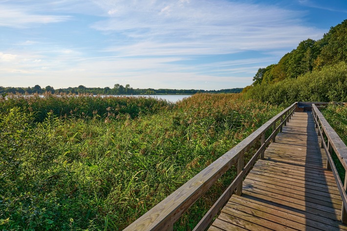 Beliebte Rundwanderwege in Schleswig-Holstein