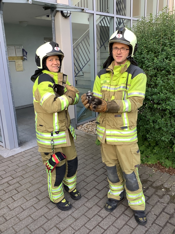 FW Dresden: Informationen zum Einsatzgeschehen der Feuerwehr Dresden vom 12. Juni 2023