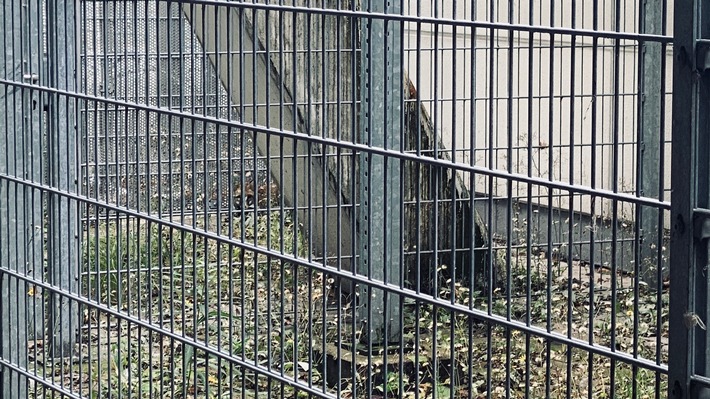 FW-DO: 20.10.2020 - TIERRETTUNG AM FLUGHAFEN Fuchs verirrt sich in Parkhaus