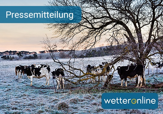 Polarluft zum Winteranfang - Temperaturen gehen zurück