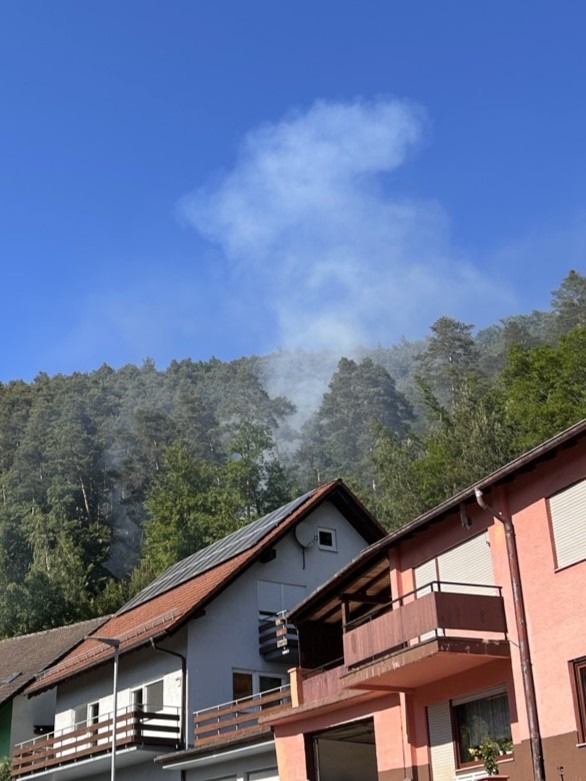 POL-PIDN: Vermutlich von Deodose verursachter Waldbrand