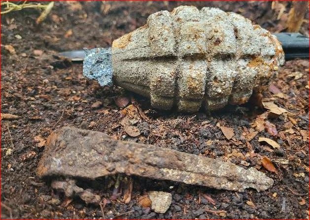 POL-GÖ: (423/2022) Pilzsammler entdeckt scharfe Splitterhandgranate im Wald bei Bremke - Fund von KBD kontrolliert gesprengt