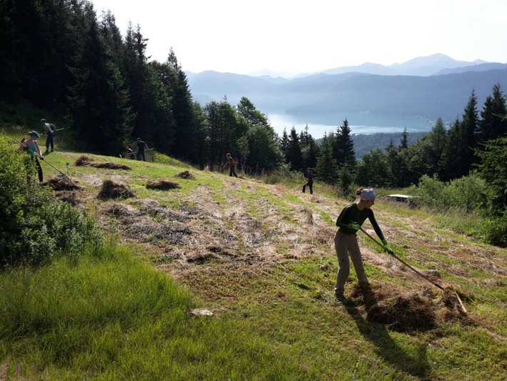 Freiwillige in Bad Tölz wieder im Einsatz für einen stabilen Schutzwald