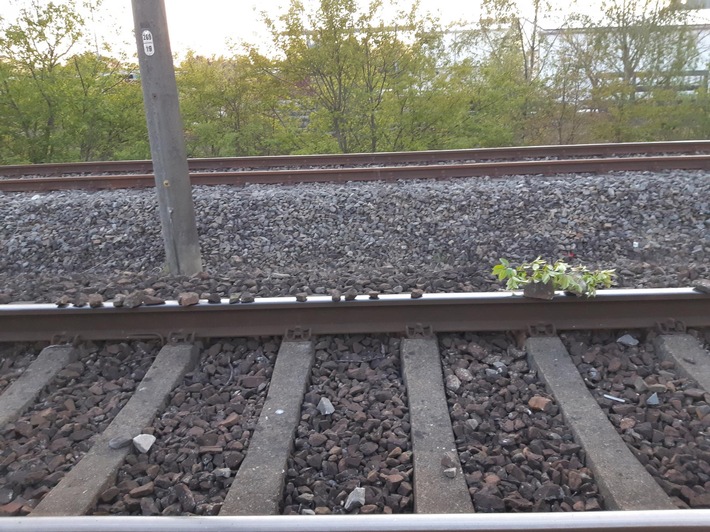 BPOL-BadBentheim: Auf die Gleise gelegte Steine behindern Bahnverkehr / Bundespolizei warnt "Bahnanlagen sind keine Spielplätze"