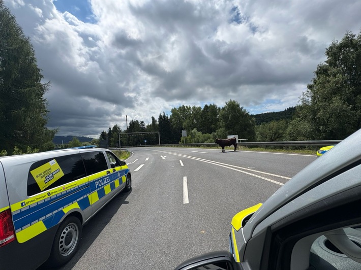LPI-SHL: Bulle in Richtung Autobahn unterwegs