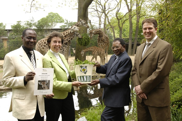 Tee verbindet: Tea Board of Kenya übernimmt Patenschaft für Giraffenbaby &quot;Layla-Nandi&quot; in Hagenbecks Tierpark