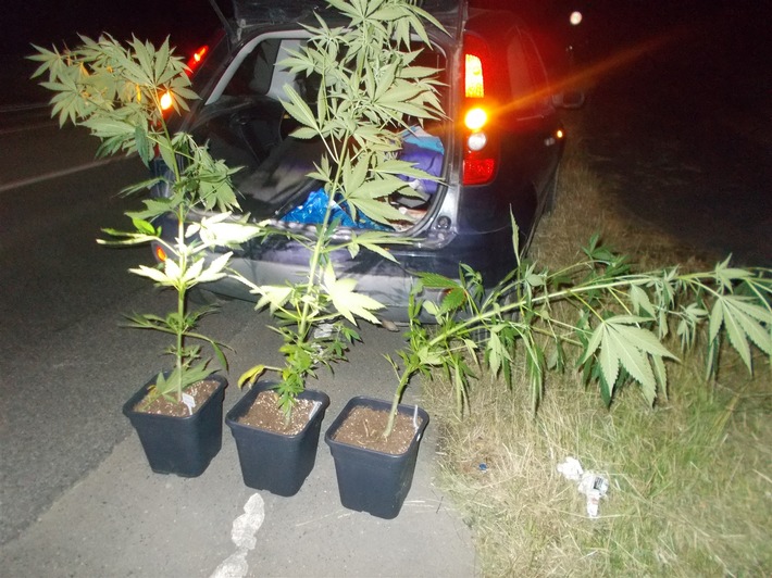 POL-NE: Verkehrskontrolle - Cannabispflanzen im Kofferraum aufgefunden