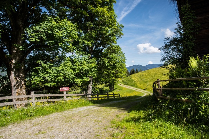 &quot;Waldtanken&quot; in der Salzburger Sportwelt