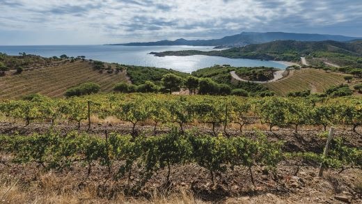 El Vívid: Das traditionelle Weinfest kehrt zurück an die Costa Brava