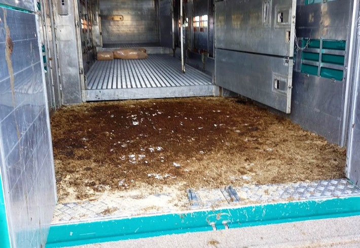 POL-NB: Kontrolle eines Viehtransportes - Verstoß gegen Vorschriften zum Seuchenschutz festgestellt