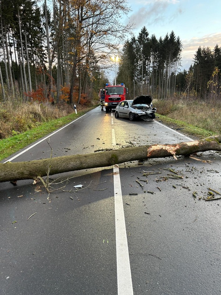 POL-HI: Baum fällt auf Straße - Verkehrsunfall fordert einen Verletzten -