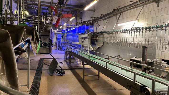 "Luna" Suppenhuhn Schlachthof wird abgewickelt - mehrere Mitarbeitende bereits wegen Tierquälerei verurteilt