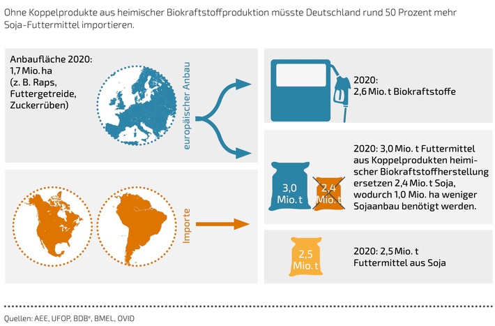 Abbildung Biokraftstoffe Futtermittel.jpg