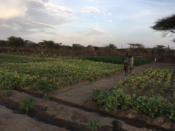 Gärten in der Wüste: Menschen für Menschen Schweiz bewahrt Familien
vor öder Zukunft