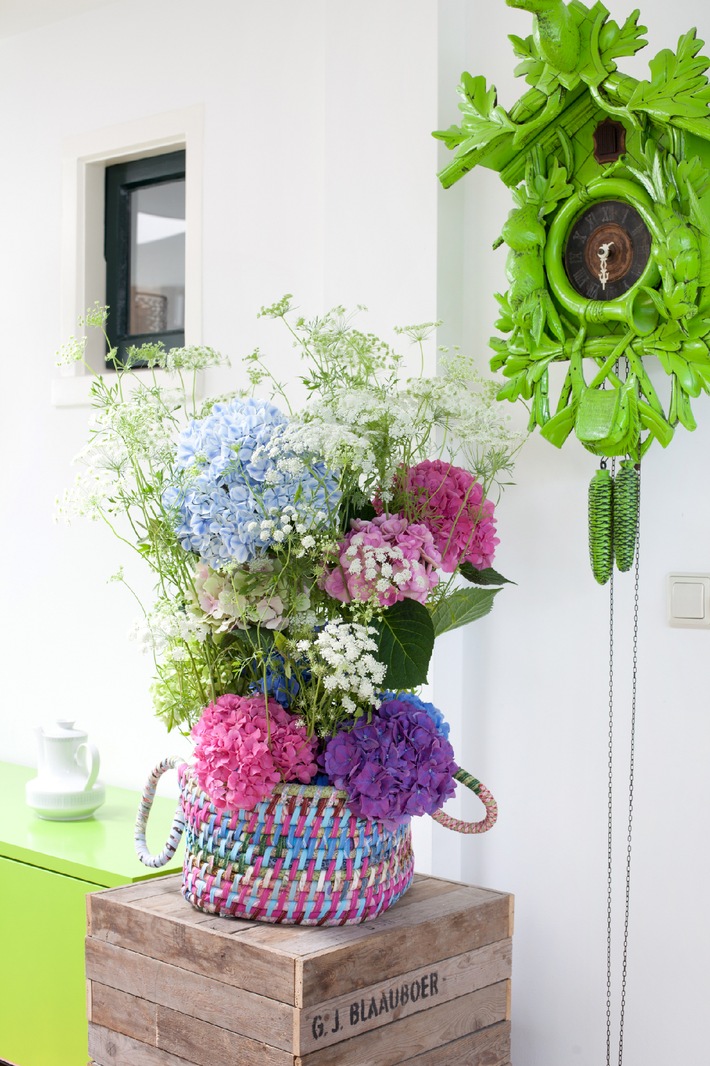 Farbenvielfalt in der Vase: Verwandlungskünstlerin Hortensie (mit Bild)