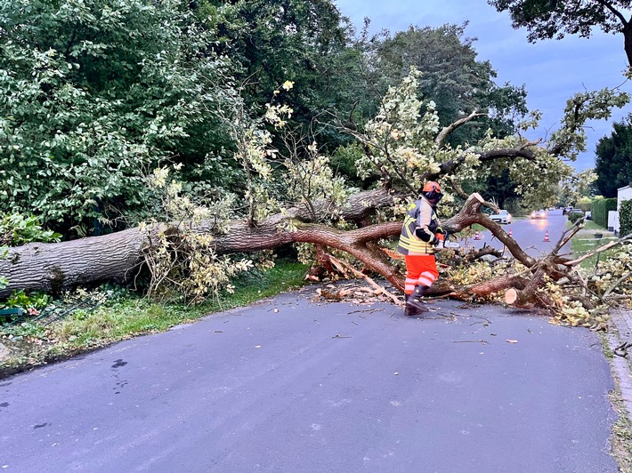 FW Hünxe: Baum blockierte Straße