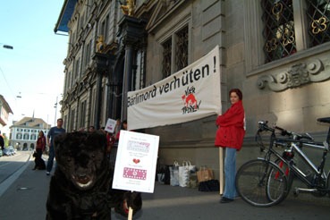 Protest gegen Entscheid des Zürcher Gemeinderates: Junge Bären sind keine Wegwerfware!