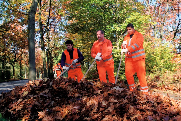 Herbstsaison gestartet / VKU - Kommunale Unternehmen im Einsatz zur Laubbeseitigung (BILD)
