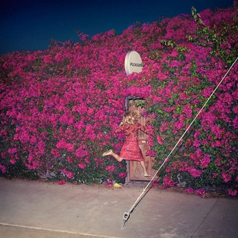 Feist veröffentlicht neues Album &quot;Pleasure&quot; am 28. April + Neue Single &quot;Pleasure&quot; ab heute erhältlich + Radiopremiere