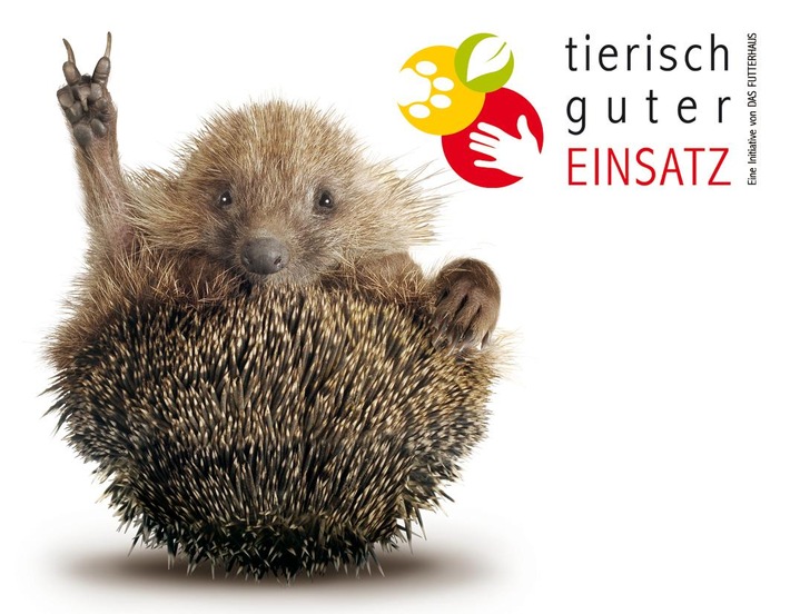 DAS FUTTERHAUS zeichnet tierisch guten Einsatz aus: Jeweils 5.000 Euro gehen an die vier Gewinner-Projekte