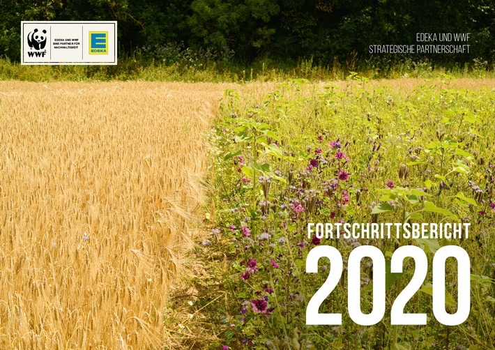 Cover Fortschrittsbericht 2020 / Weiterer Text über ots und www.presseportal.de/nr/51907 / Die Verwendung dieses Bildes ist für redaktionelle Zwecke unter Beachtung ggf. genannter Nutzungsbedingungen honorarfrei. Veröffentlichung bitte mit Bildrechte-Hinweis.