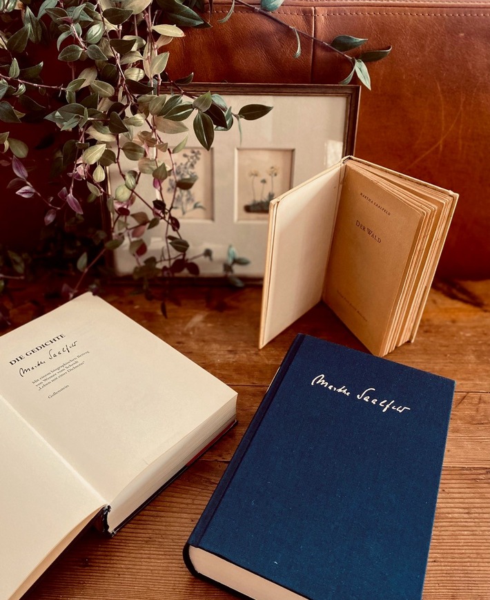 Zwischen den Zeilen: Ein Abend mit Martha Saalfelds Romanen