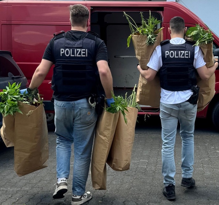 POL-REK: 240709-3: Cannabispflanzen und Pilze sichergestellt