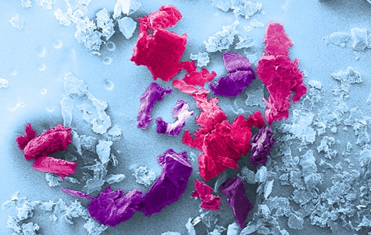 Toxizität von Mikro- und Nanoplastik: BAM forscht zu den Risiken winziger Polymer-Partikel