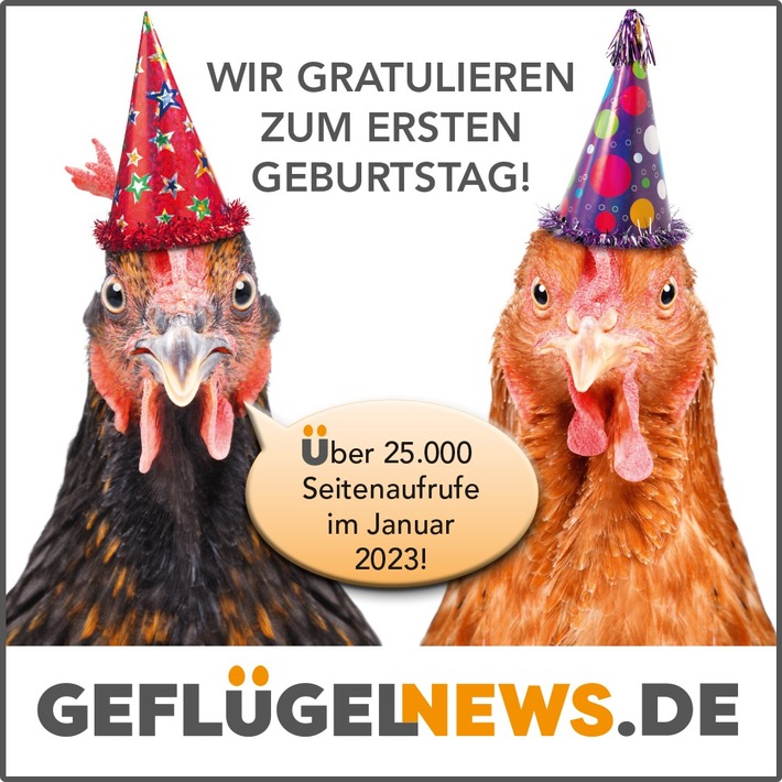 Informationsplattform für Geflügelhalter www.geflügelnews.de feiert erfolgreiches erstes Jahr