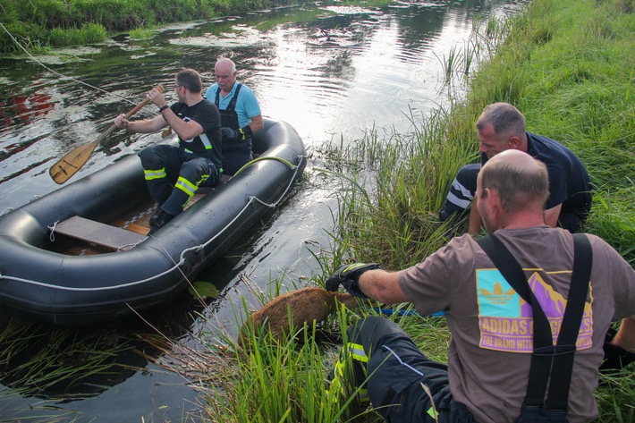 FW Lüchow-Dannenberg: +++Reh fällt in Kanal+++aufmerksamer Bürger alarmiert die Feuerwehr+++Reh mit Schlauchboot gerettet+++