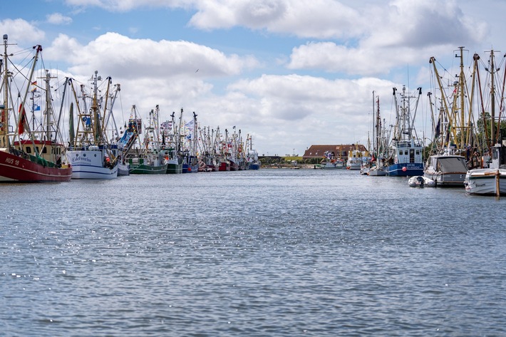 119. Kutterregatta in Büsum