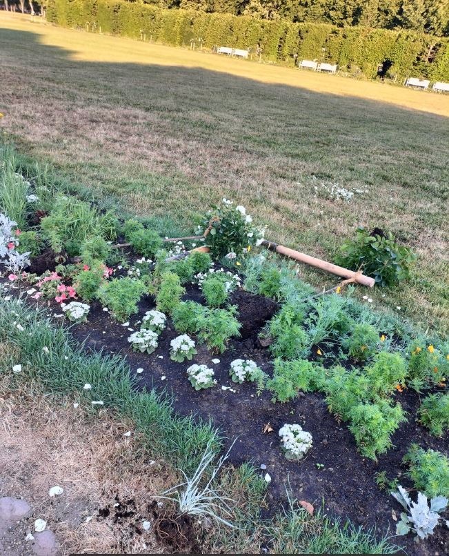 POL-SN: Polizei sucht Zeugen nach Vandalismus im Schlossgarten