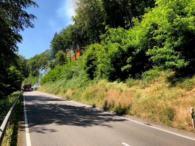 POL-PDPS: Waldbrand zwischen Pirmasens und Rodalben