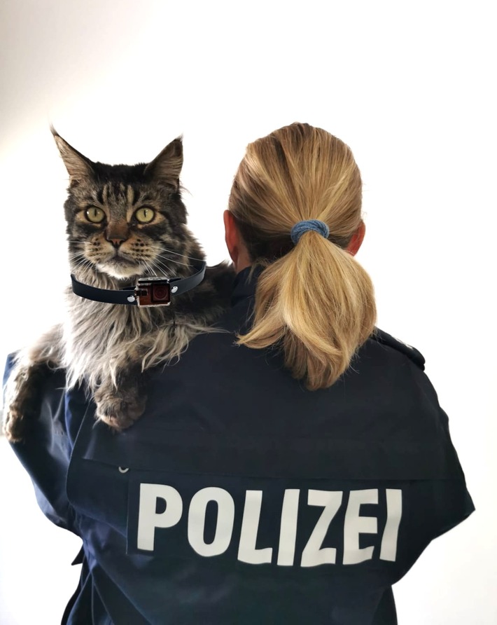 POL-HA: Pilotprojekt Dienstkatze: Kater Amadeus bei der Polizei Hagen angekommen