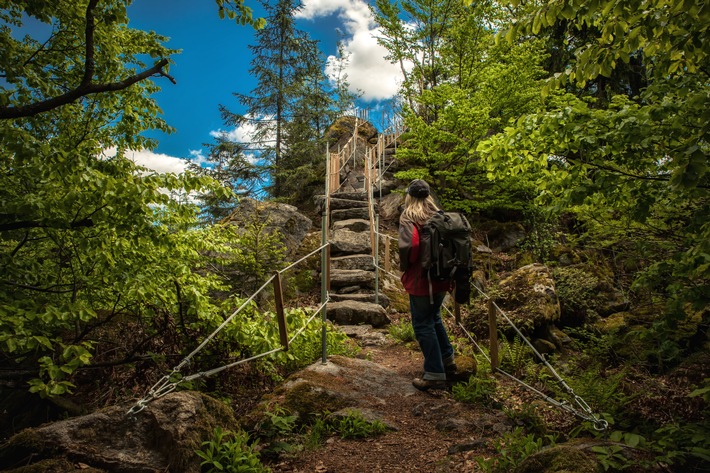 Goldsteig. Der Weg für Natur- und Geschichtenliebhaber / Wandern, wo versteinerte Berggeister und Drachen schlummern