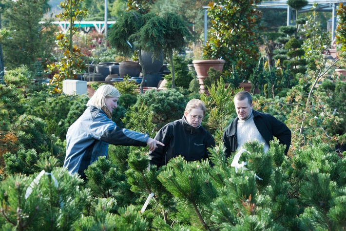 BdB fordert Länder auf, dem Beispiel Niedersachsens und Schleswig-Holsteins zu folgen und Gartencenter sowie Gartenbaumschulen rasch zu öffnen