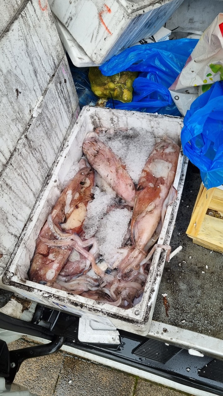 POL-KS: Verkauf von verdorbenem Fisch aus verschmutztem Lieferwagen durch Polizei gestoppt: Entsorgung von 450 Kilogramm