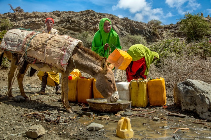 Somalia: Die nicht enden wollende Katastrophe / Bündnisorganisationen von &quot;Aktion Deutschland Hilft&quot; im Kampf gegen humanitäre Not durch Dürre, Hunger, Flucht und Krankheit