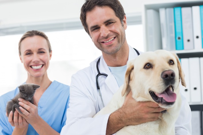 Tierkrankenversicherung für Hunde und Katzen: Noch besserer Schutz für treue Begleiter