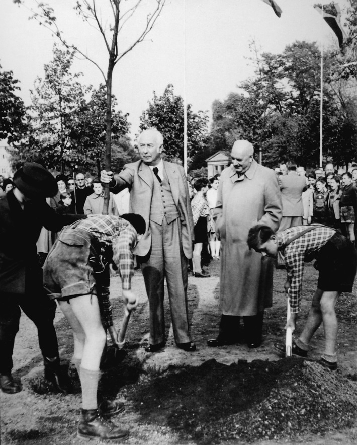 Fielmann pflanzt für jeden Mitarbeiter jedes Jahr einen Baum