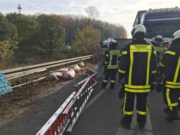 FW-Schermbeck: Verunfallter Viehanhänger sorgte für Einsatz der Feuerwehr