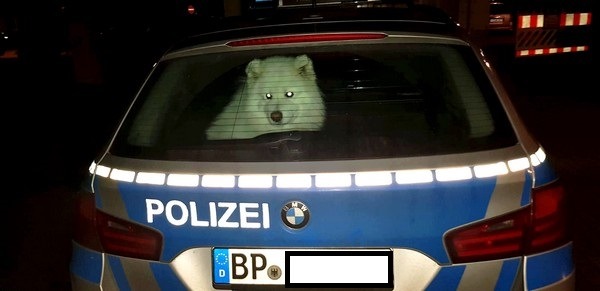 BPOL NRW: &quot;Haariger&quot; Einsatz für die Bundespolizei am Eschweiler Hauptbahnhof.