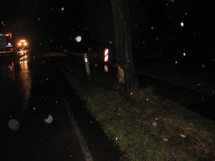 POL-HOL: Landesstraße 584 - Bevern - Allersheim: Zuerst gegen Baum geprallt und dann im Graben gelandet - Beschuldigter 21jähriger Fahrer stand unter Alkoholeinfluss -