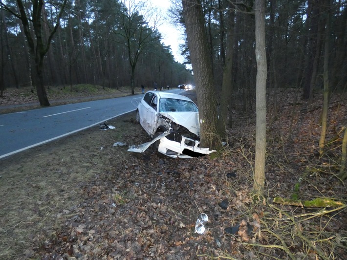 POL-CE: Wietze - Von der Fahrbahn abgekommen und gegen Baum geprallt