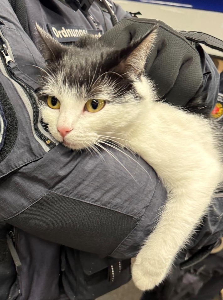 BPOL-HB: Ungewöhnlicher Einsatz am Bremer Hauptbahnhof: Kooperationsstreife nimmt vierbeinigen Schwarzfahrer in Obhut