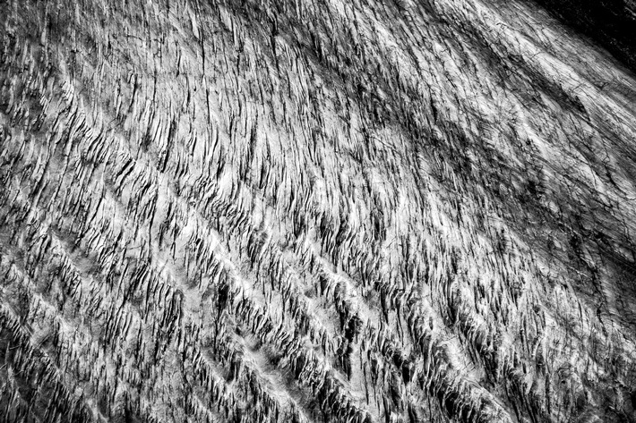 "Giants in Motion" - Déclaration d