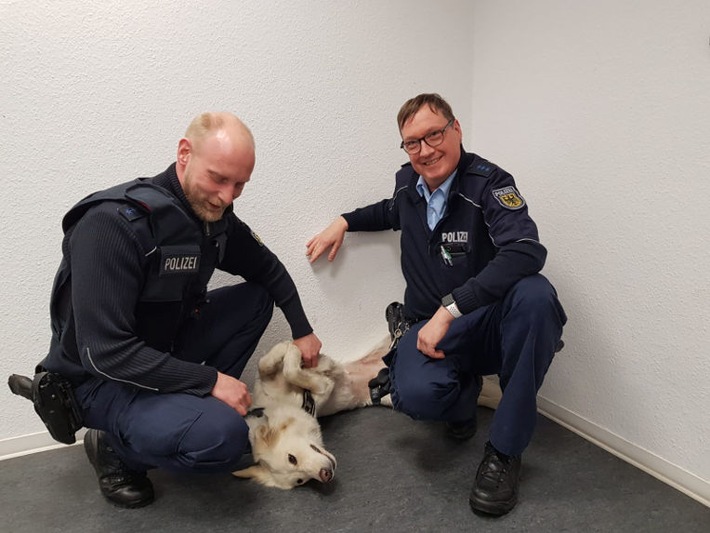 BPOL NRW: Im letzten Moment vor dem Zug gerettet
Bundespolizei Münster kann kleinen Hund von dem überfahren retten.