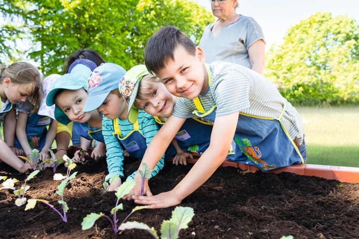 EDEKA Stiftung: Die Weichen für eine bewusste Ernährung werden schon im Kindesalter gestellt. Mit dem Erfolgsprojekt "Gemüsebeete für Kids" erreicht die EDEKA Stiftung 2019 über 190.000 Kinder. Weiterer Text über ots und www.presseportal.de/nr/51907 / Die Verwendung dieses Bildes ist für redaktionelle Zwecke honorarfrei. Veröffentlichung bitte unter Quellenangabe: "obs/EDEKA ZENTRALE AG & Co. KG/EDEKA Stiftung/U.Schaarschmidt"