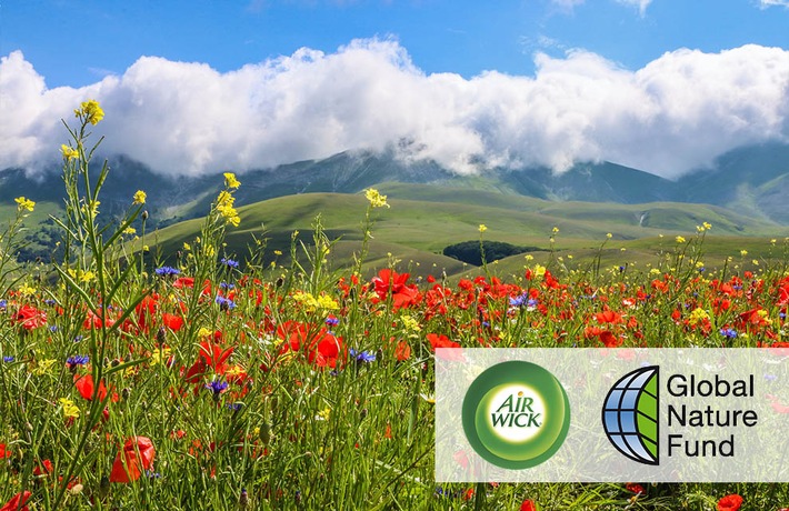 Naturschutzinitiative &quot;Gemeinsam für blühende Wiesen&quot;: Air Wick und Global Nature Fund pflanzen 30 Millionen Wildblumen
