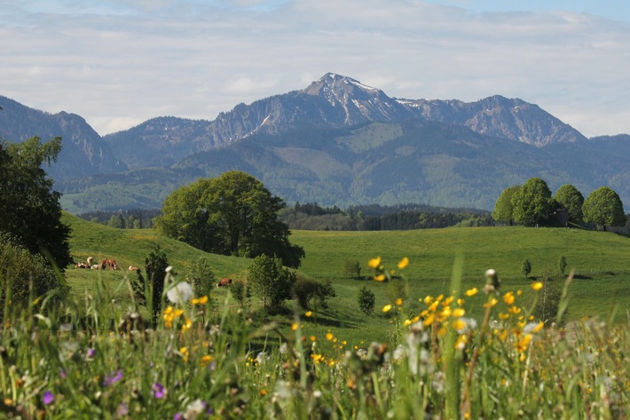 Ostern im Chiemgau – Familienurlaub im Das Achental